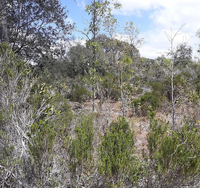 1st image of Lot 19 NE 67th Ln
