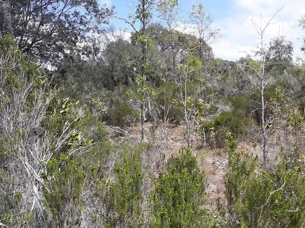 Lot 19 NE 67th Ln, Williston, FL 32696