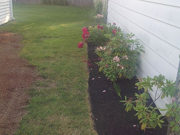 Side yard landscaping