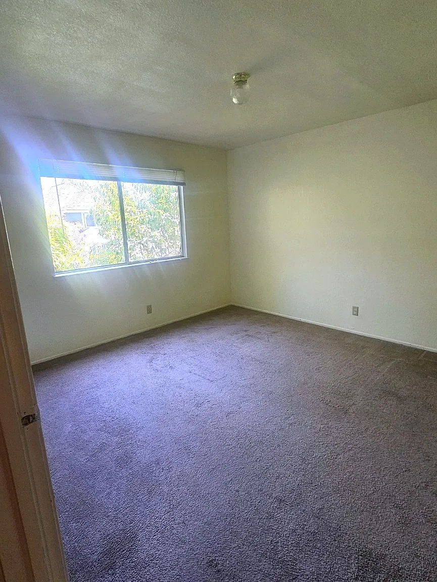 1736 Parker Street - 4 — Photo 3
