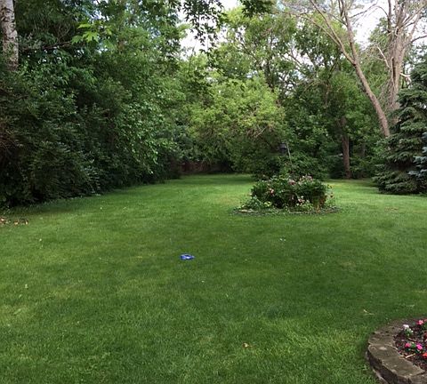 Backyard looking to Nursery