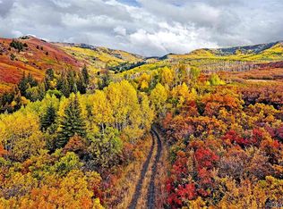 61779 Le Rd, Collbran, CO 81624