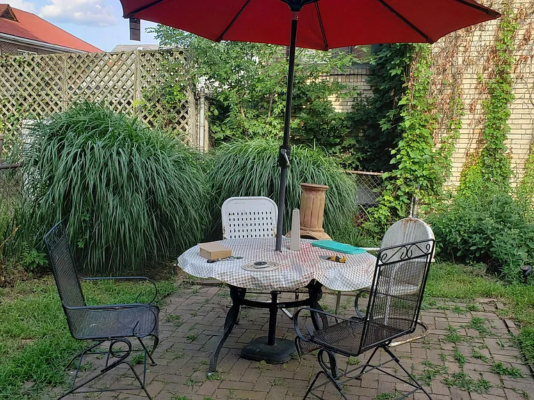 Shared back yard