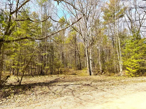 8443 Ridgeview Dr, Cheboygan, MI 49721