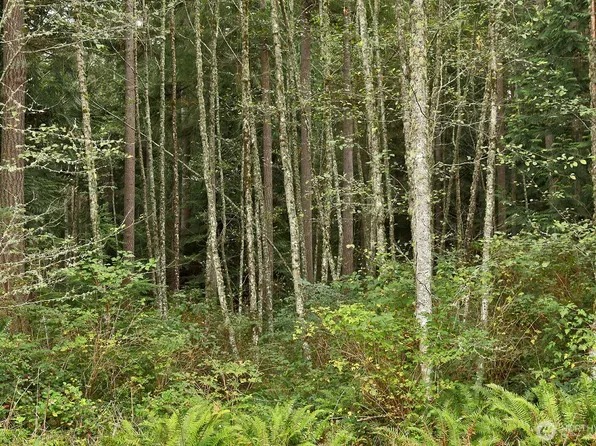 4757 Whale Pass Way, Langley, WA 98260