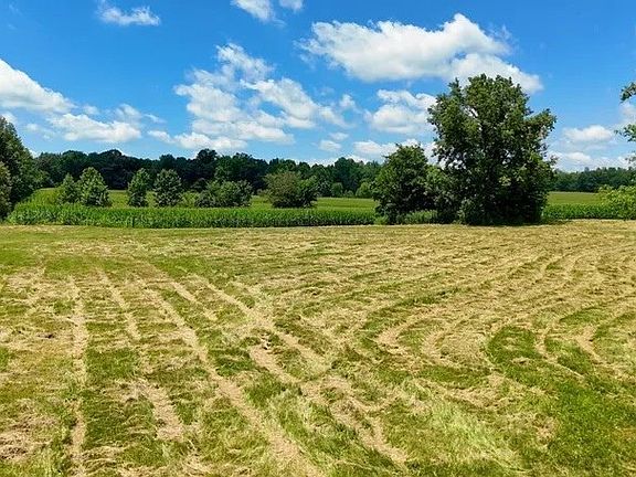 4th image of 9055 Ilsley Rd