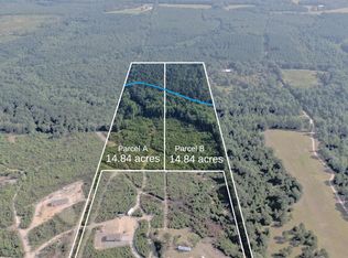 14.84 Old Elba Rd PARCEL A, Coffee Springs, AL 36318