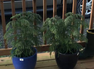 218 S Wynoochee Dr SW, Ocean Shores, WA 98569