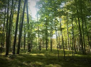 W Shay Lake Ln, Pound, WI 54161