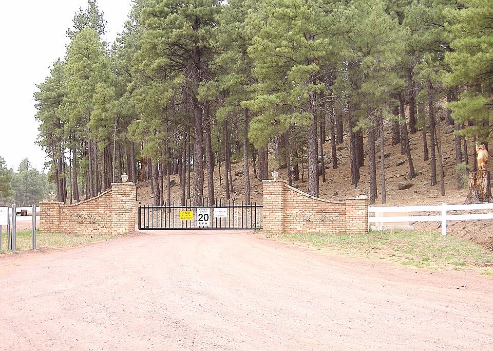1st image of 1555 Pine Meadow Dr