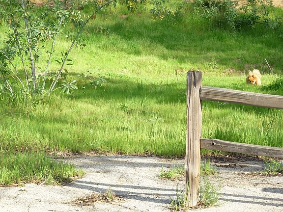 Undeveloped upper lot for your toys, animals or whatever.