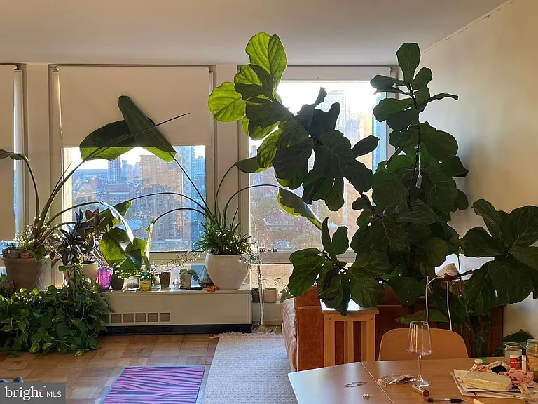 210 Locust St #22E — Photo 7