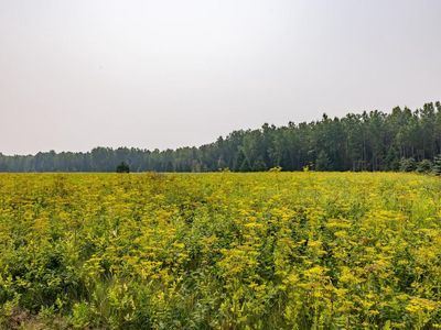 13 Acres WHITETAIL LANE, Long Lake, WI, 54542