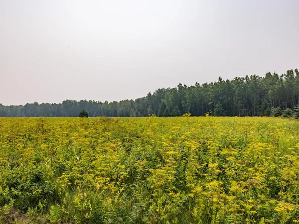 13 Acres WHITETAIL LANE, Tipler, WI 54542