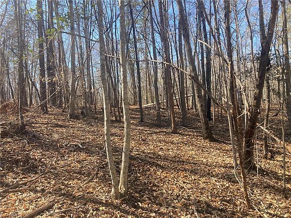 4th image of Jarvis Miller Rd