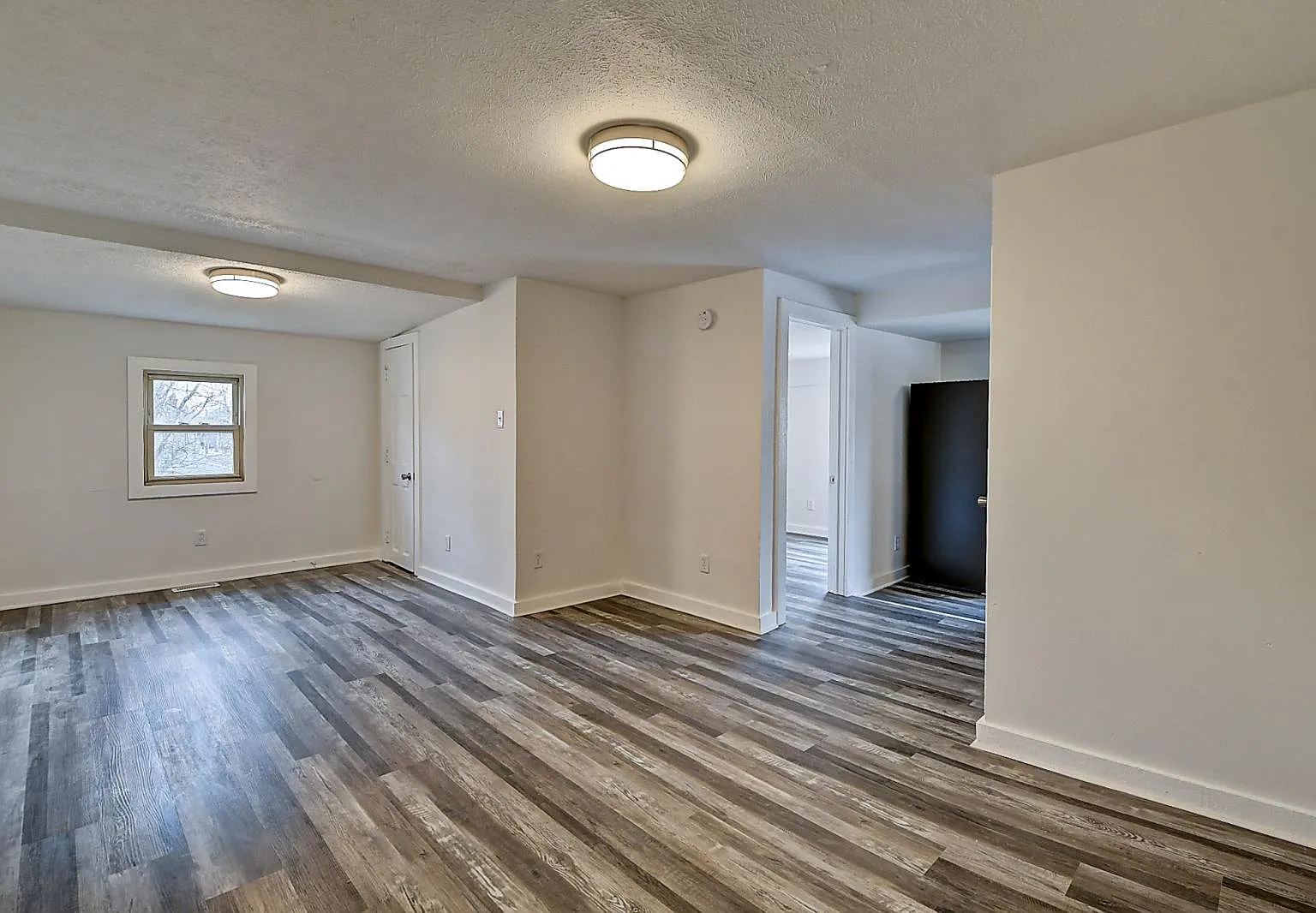 1 bed, $900 — Photo 1