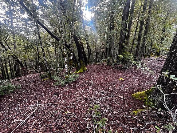 5th image of 2149 Goose Road