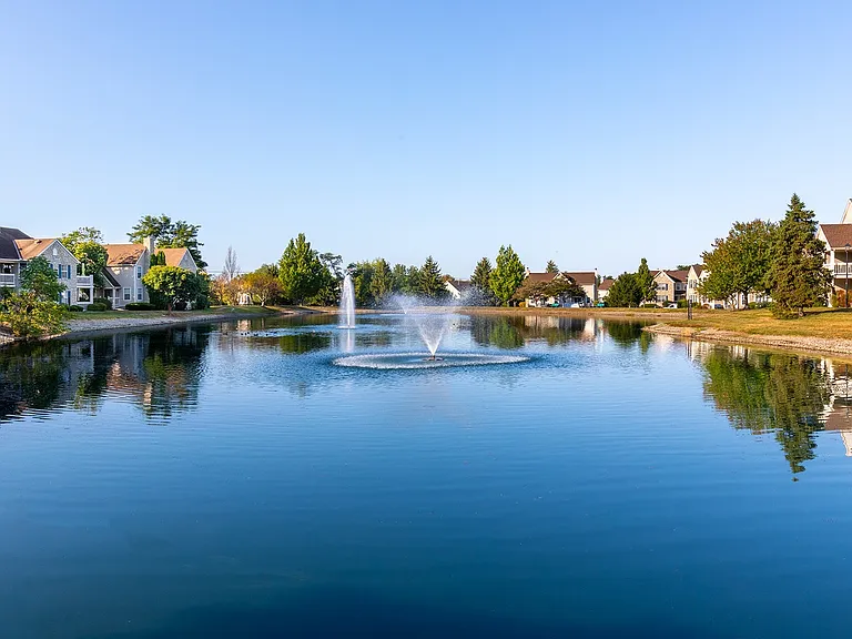 Pond