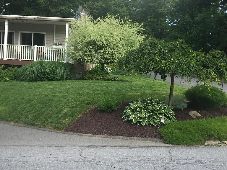 511 Waverly Ave #FRONT — Photo 2