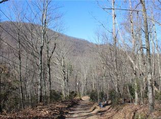 0000 Pinnacle Mountain Rd, Leicester, NC 28748