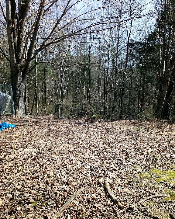 2nd image of 133 Charlie Bilbrey Ln
