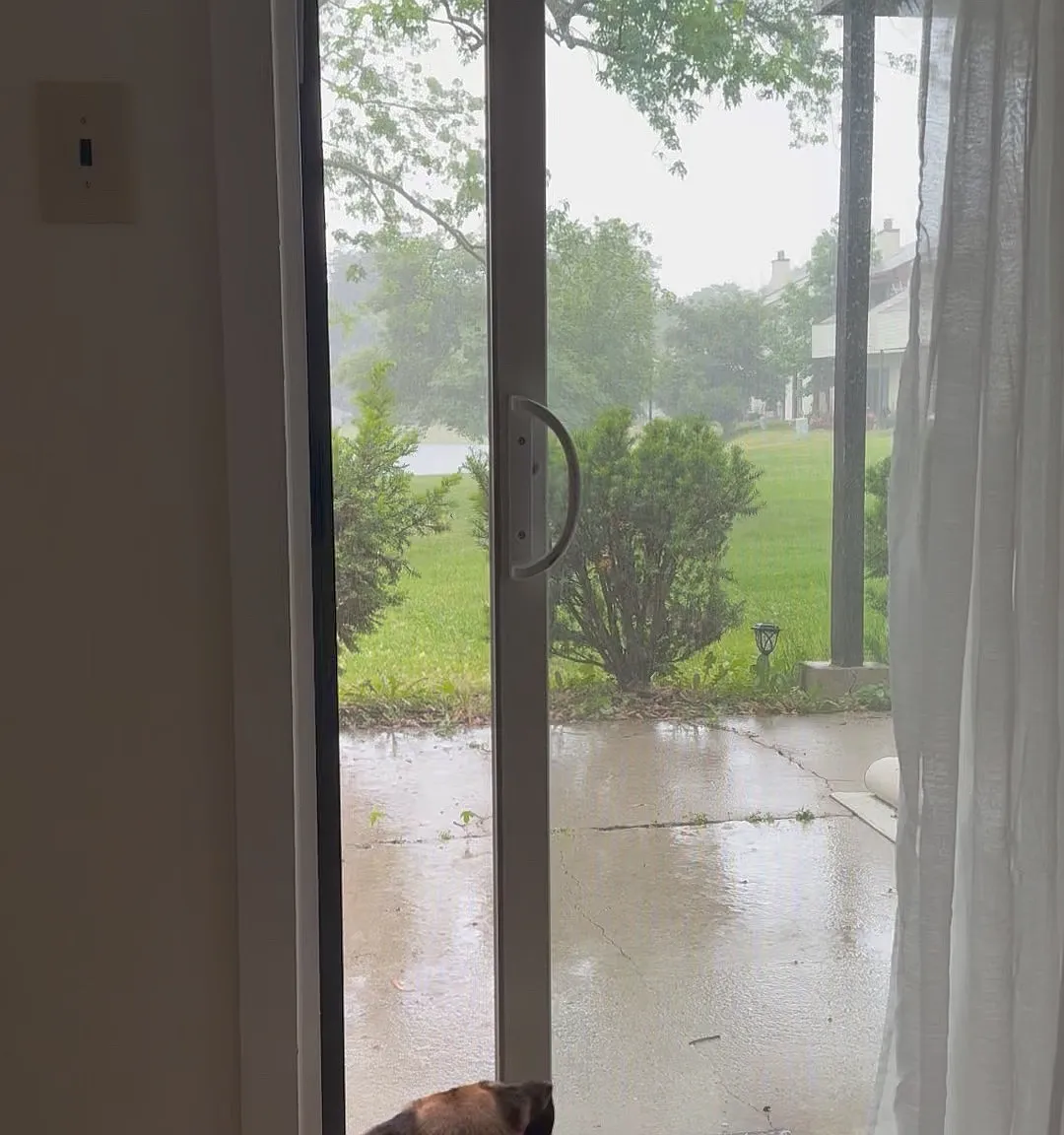 E Daisy Ln, Mount Laurel — Photo 3