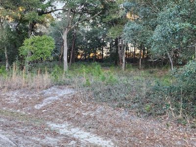 3335 Stone Crab Court SW, Supply, NC, 28462