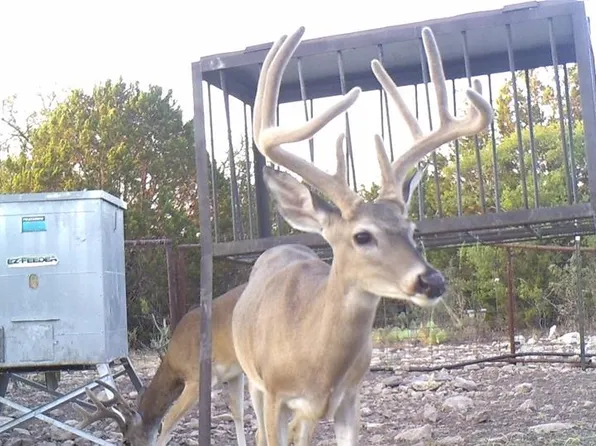 9125 County Road 450, Rocksprings, TX 78880