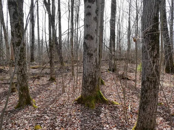 4.70 Acres US HIGHWAY 8, Prentice, WI 54556