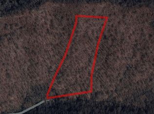 245 Little Blackberry Crk, Matewan, WV 25678