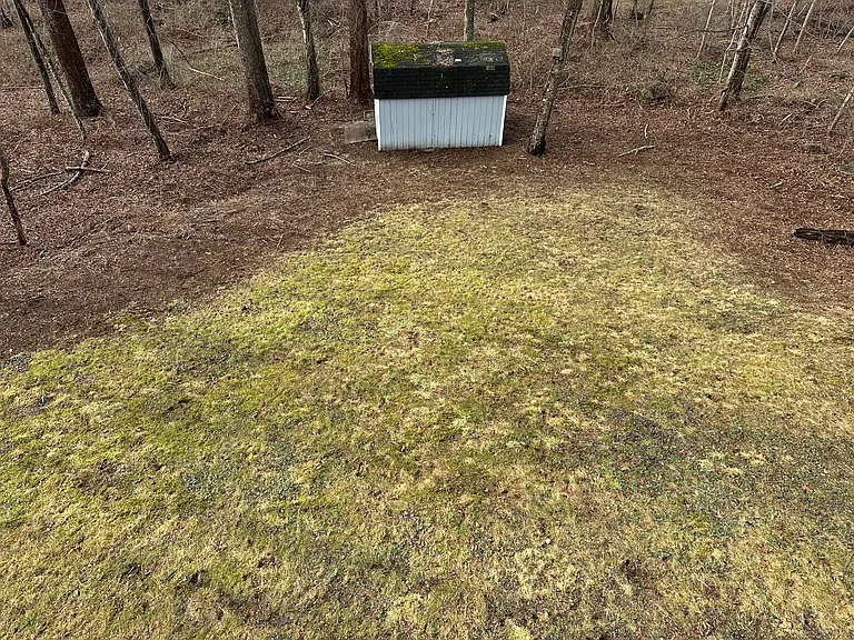 6 Birch Cir — Photo 18