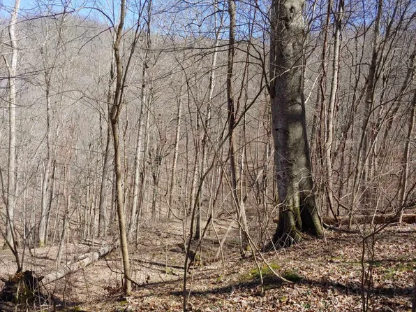 0 Birch Hollow Road Phase #15-2, Stanton, KY 40380