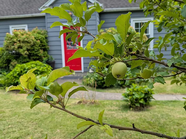 21 Wintergreen Ave — Photo 1
