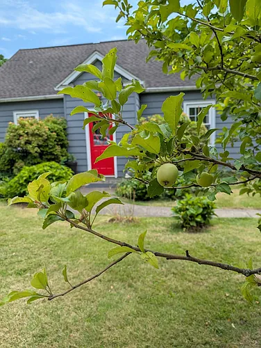 21 Wintergreen Ave Photo 1