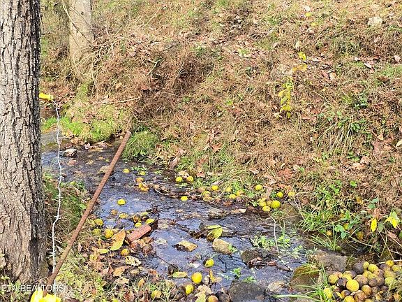 5th image of 3263 Trents Chapel Rd