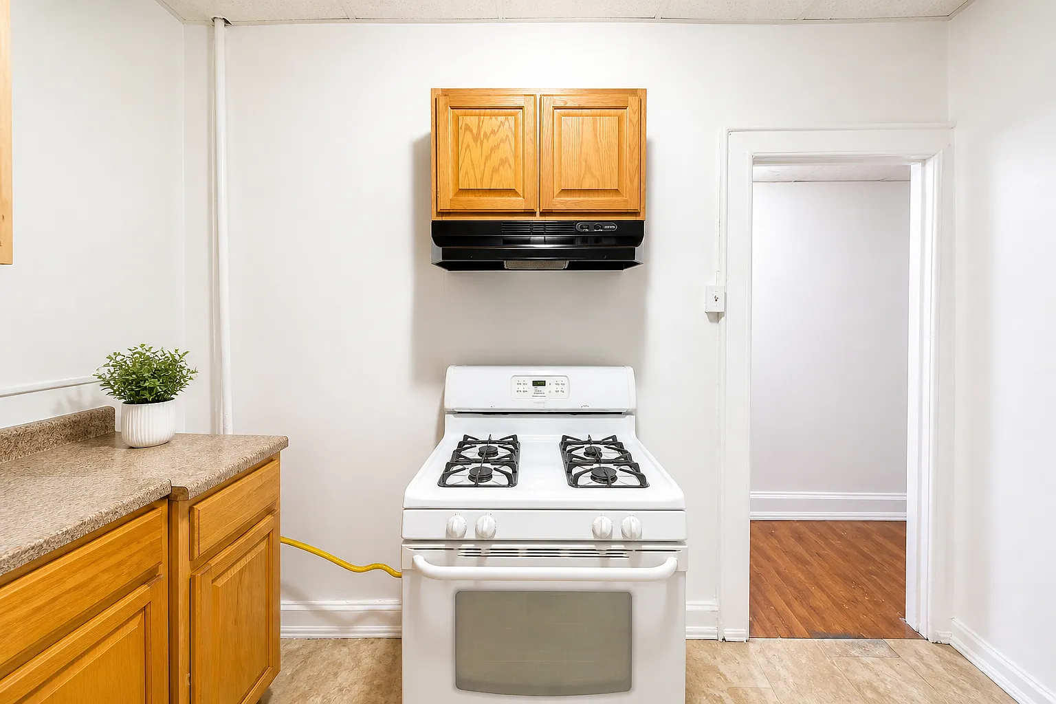 1 bed, $1,650 — Photo 2
