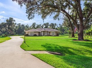 3422 Sam Allen Oaks Cir, Plant City, FL 33565