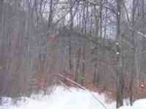 0 N Briardale Ct, Curran, MI, 48728