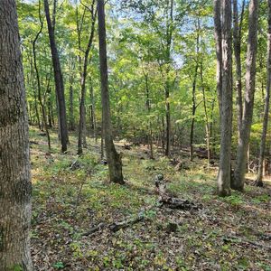 0 S Turkey Ridge Rd, New Florence, MO, 63363