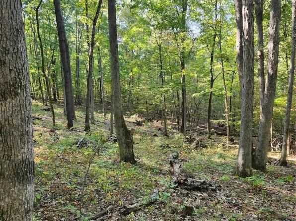 0 S Turkey Ridge Rd, New Florence, MO 63363