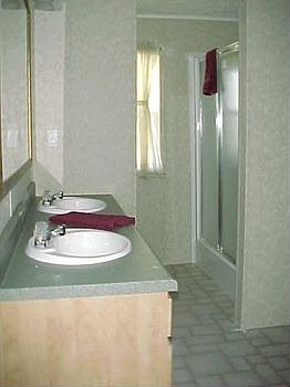 master bath, sink and shower