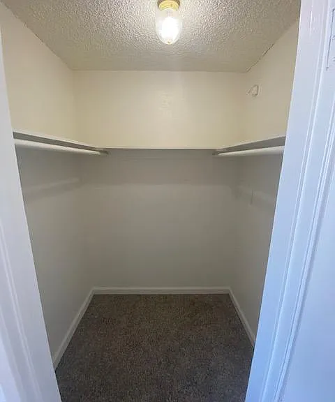 Springview Apartments — Photo 6