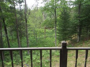 10100 W River Rd, Irons, MI 49644