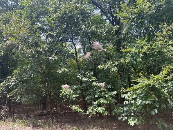 S 550th Rd, Afton, OK 74331