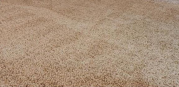 Newly Remodeled Basement Rec. Room