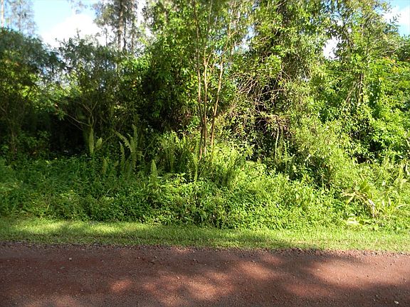 4th image of Gardenia Dr Lot 23