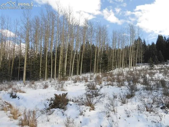 72 Hillside Ter, Cripple Creek, CO 80813