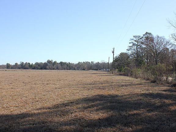 5th image of Pid 38061 Cotton Thompson Rd