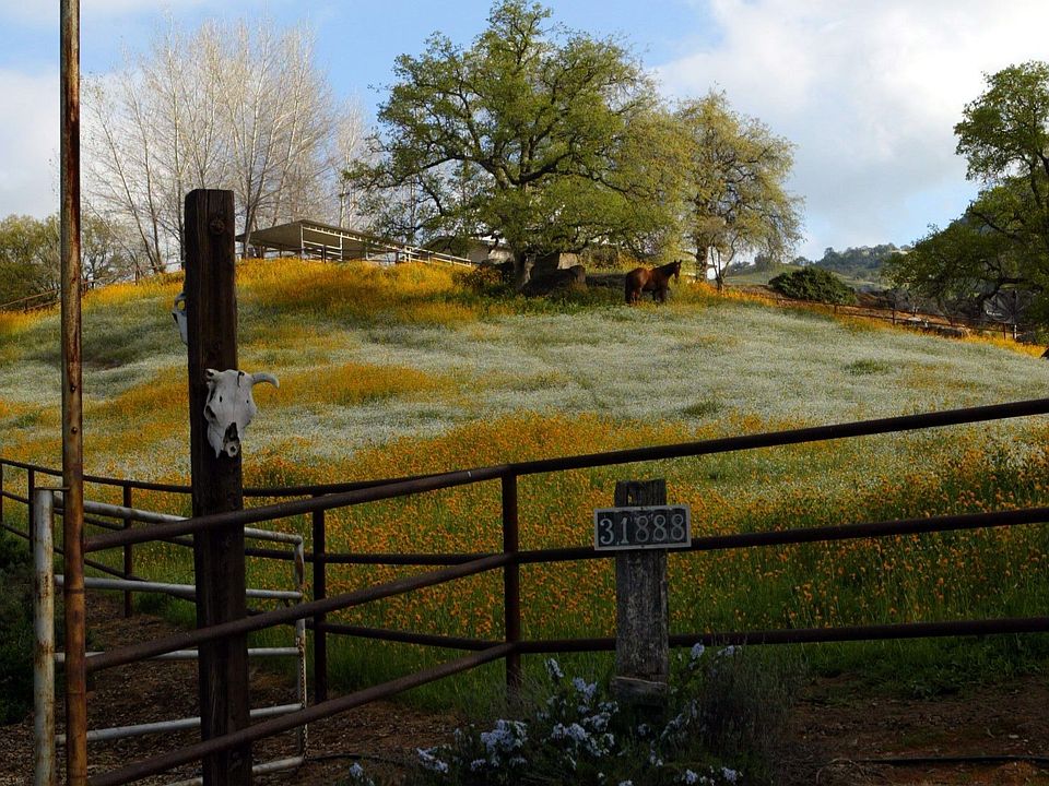 Concrete Drive & Privacy