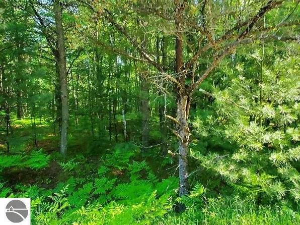 0 Hillside Dr Lot 62, Alger, MI 48610